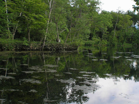 鳥沼公園