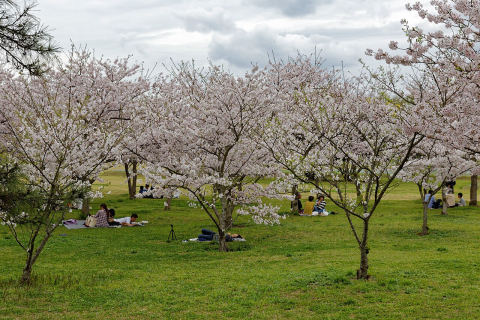 Uminonakamichi Seaside Park