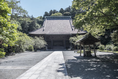 妙本寺