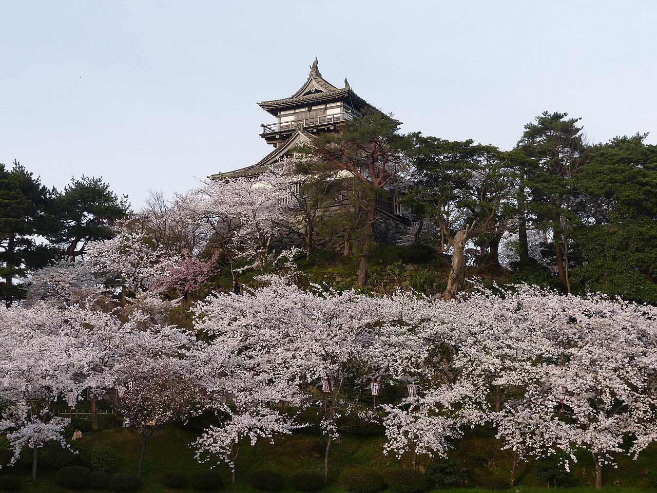 丸岡城