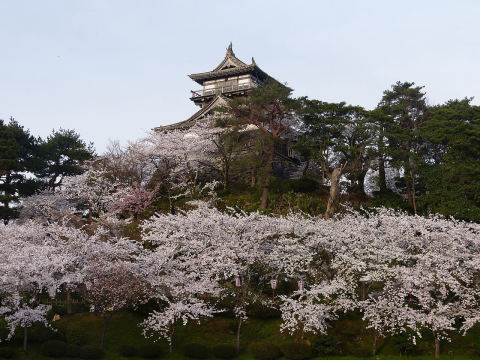 Maruoka Castle