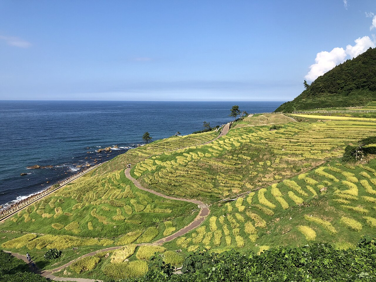 Shiroyone Senmaida Rice Terraces