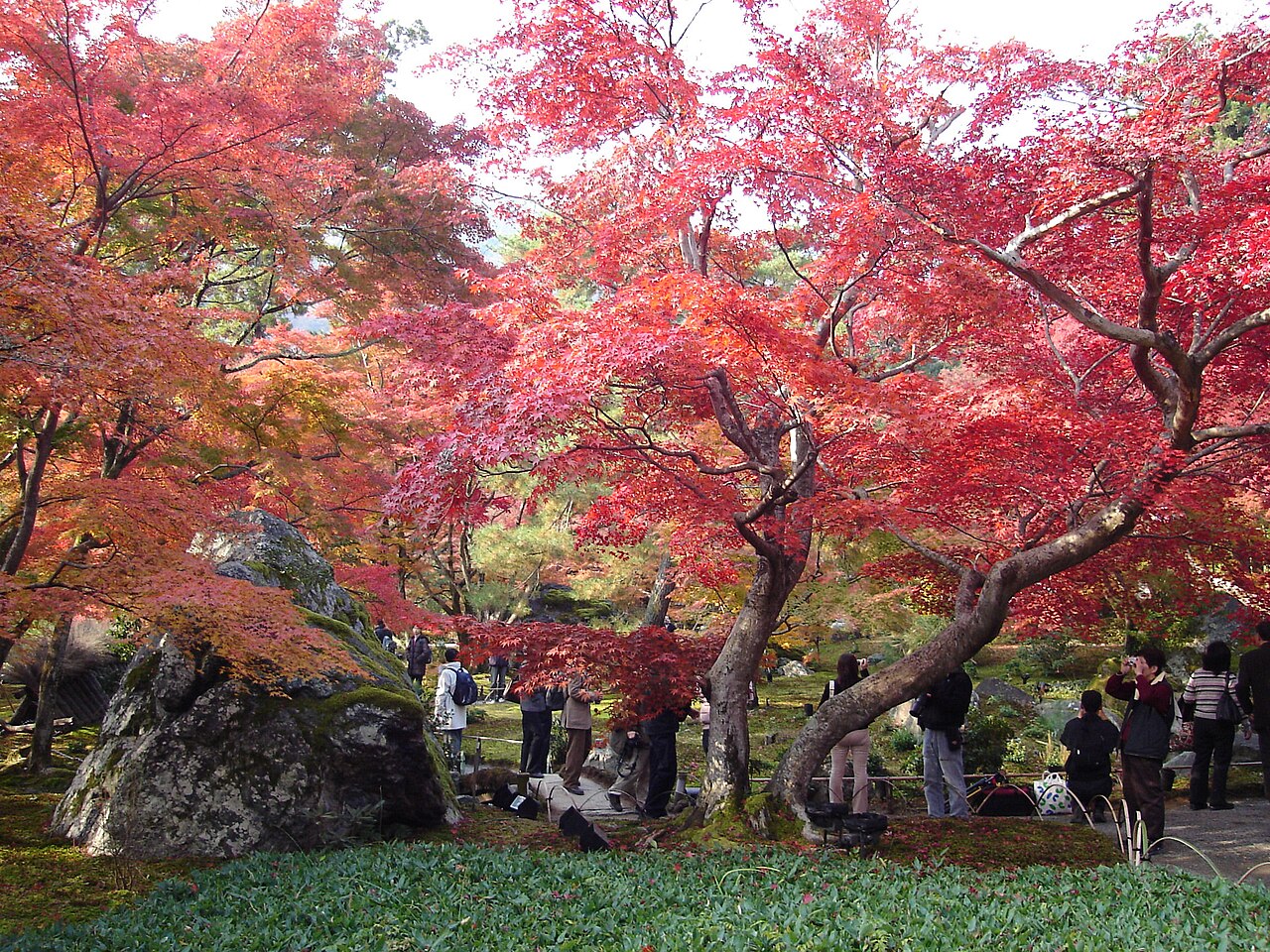 Hogonin Temple
