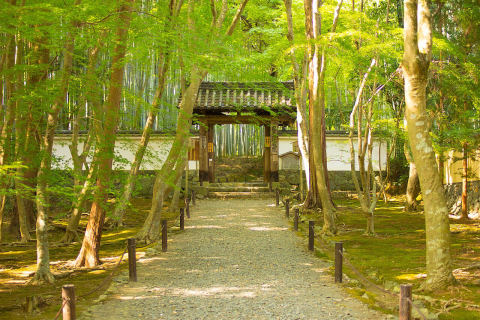 地蔵院