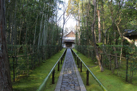 高桐院