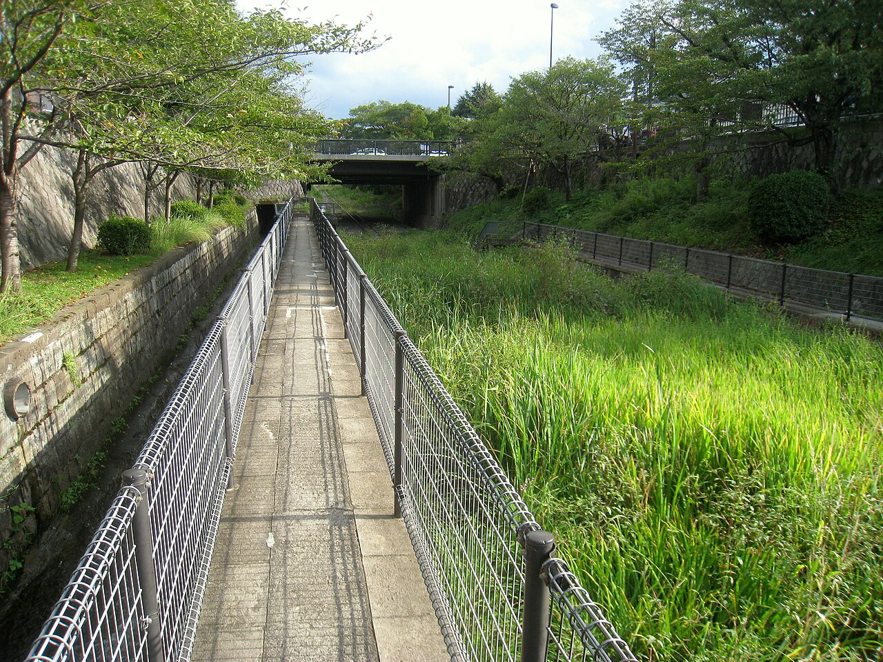 Lake Biwa Canal Walk (Yamashina Section)