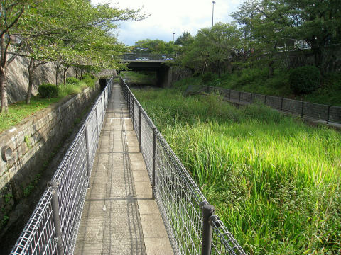 Lake Biwa Canal Walk (Yamashina Section)