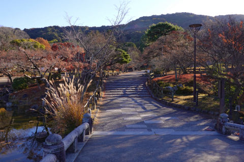 円山公園