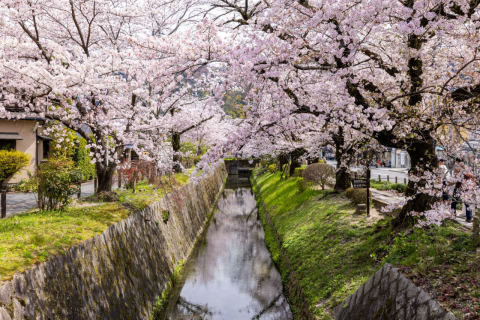 哲学の道