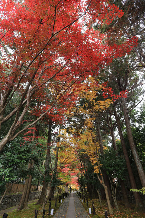 Rokuo-in Temple