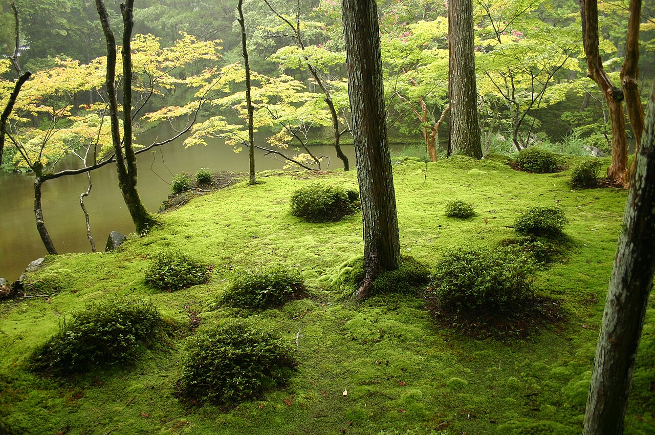 Saihoji (Moss Temple)