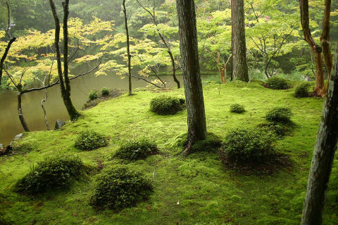 Saihoji (Moss Temple)