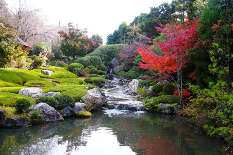 退蔵院