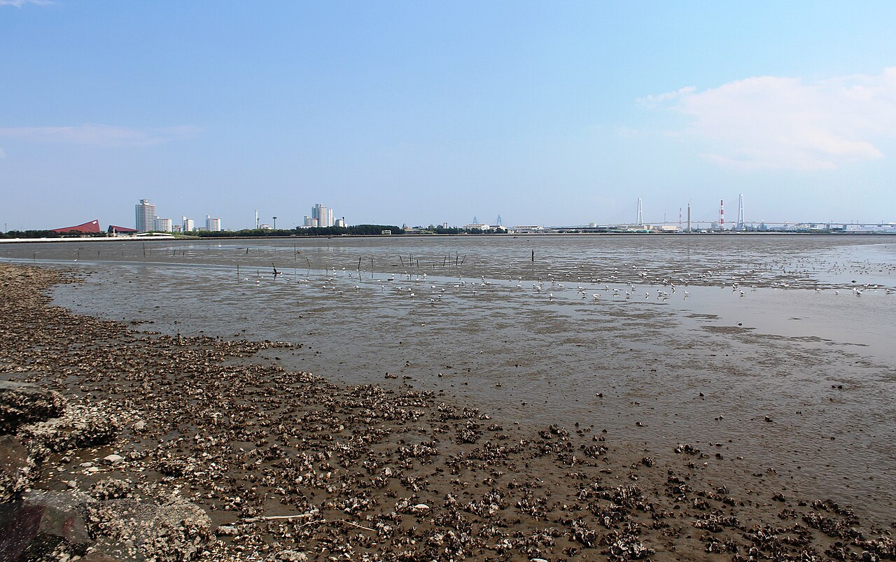 Fujimae Tidal Flats