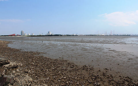 Fujimae Tidal Flats