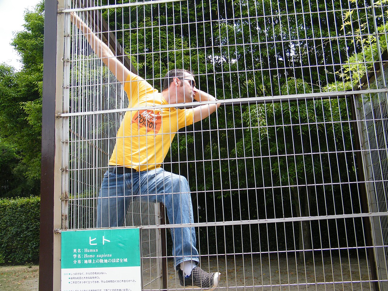 Japan Monkey Park