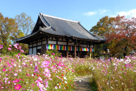 Hannya-ji Temple