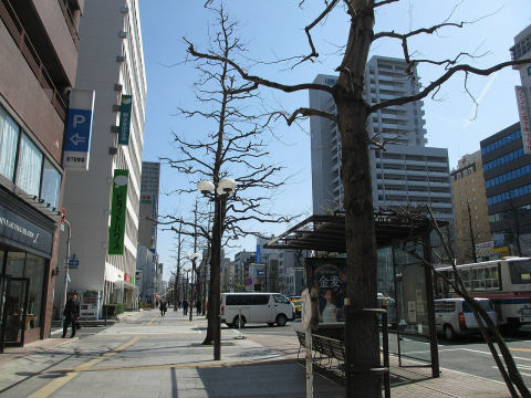 Momotaro-odori Avenue