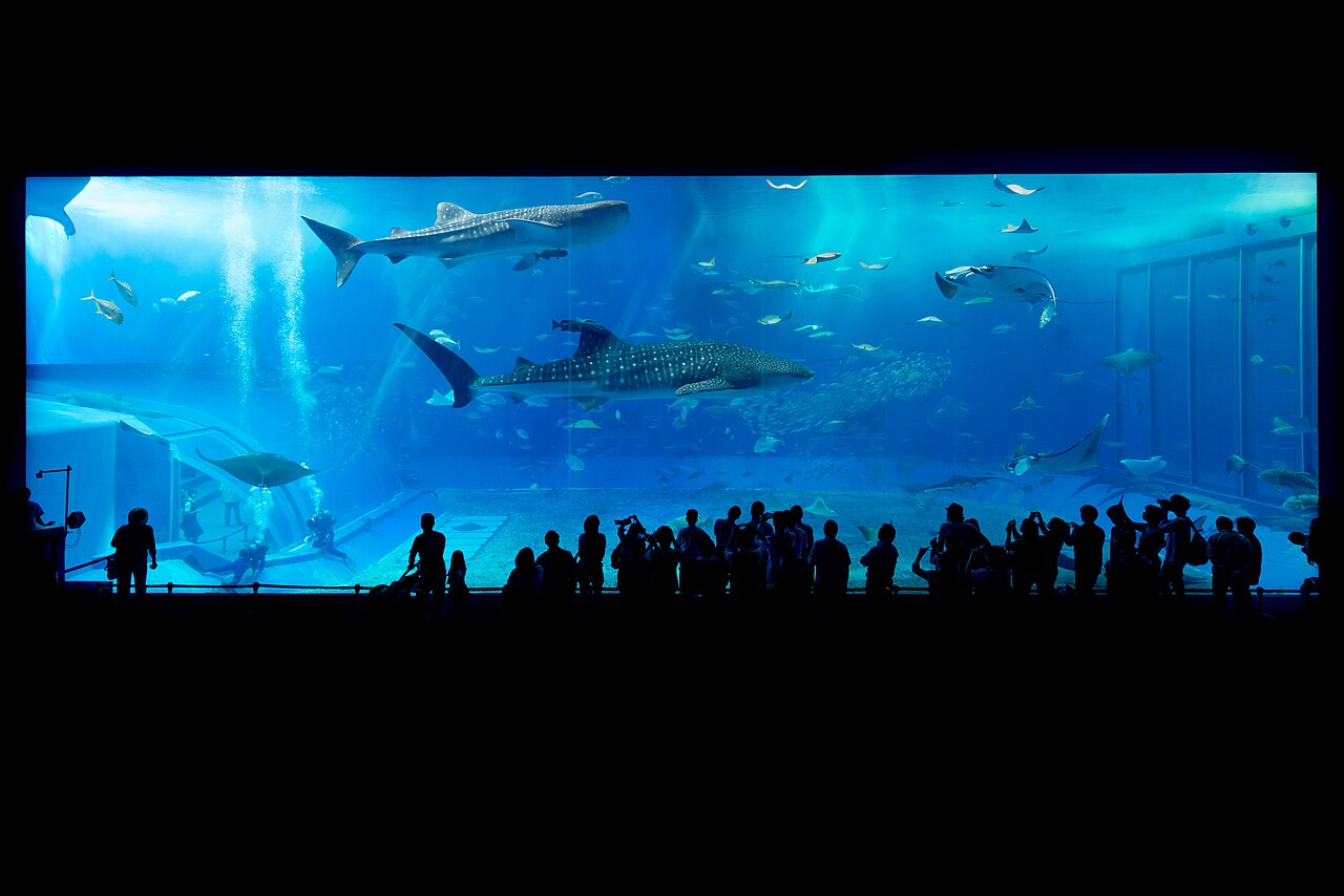 沖縄美ら海水族館