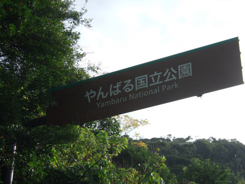 Yanbaru National Park