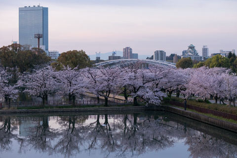 Kema Sakuranomiya Park