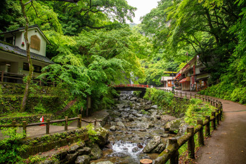 Minoo Falls
