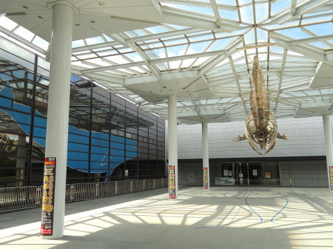 Osaka Museum of Natural History