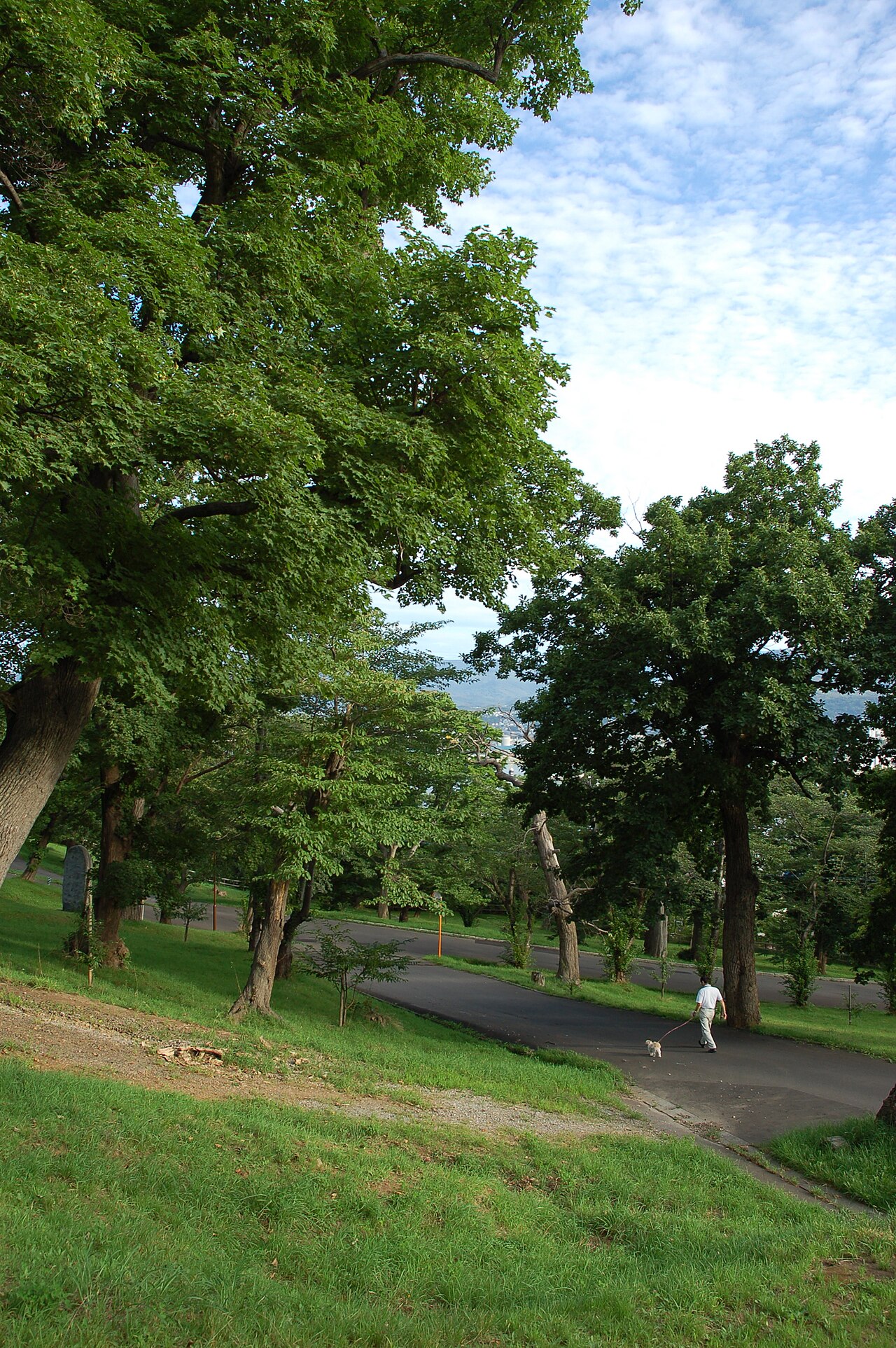 Temiya Park