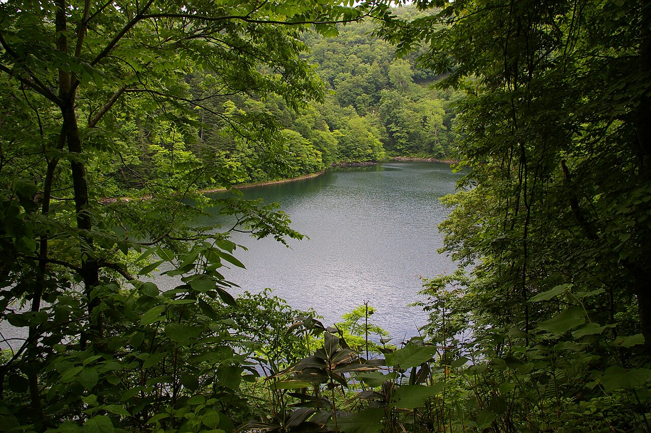 半月湖畔自然公園
