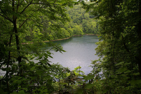 Hangetsu-ko Lakeside Nature Park