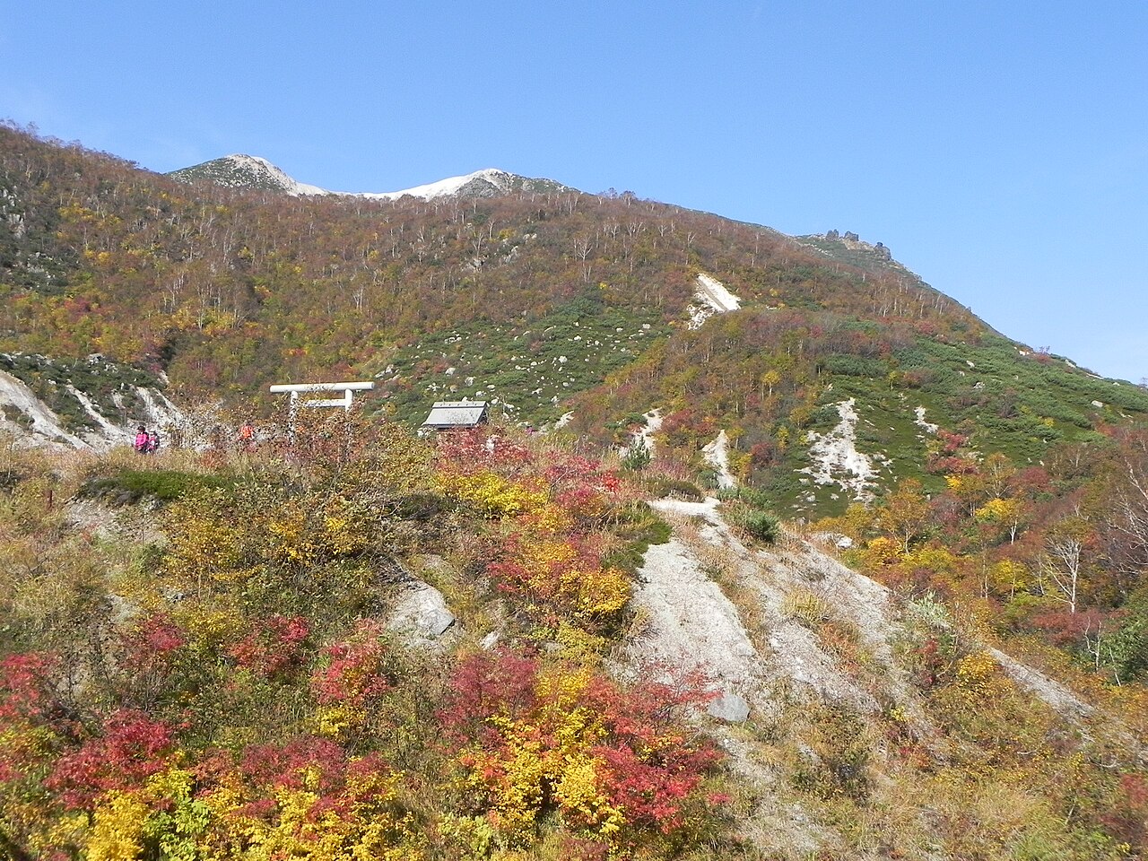 Iwaonupuri