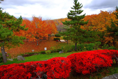 Nishioka Park
