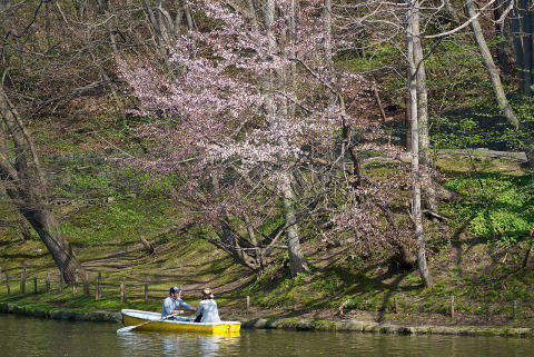 Tsukisamu Park