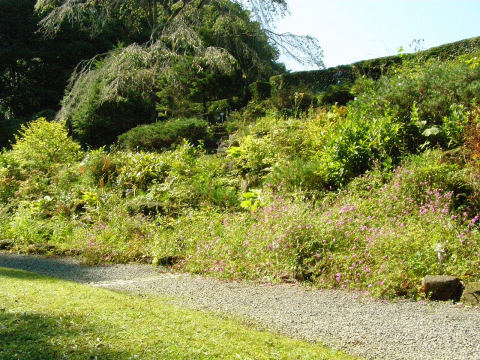 Botanical Garden of Tohoku University