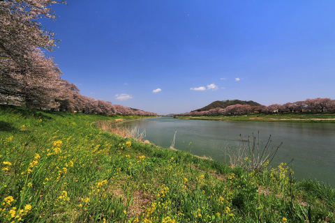 Hitome Senbonzakura, Shiroishi River