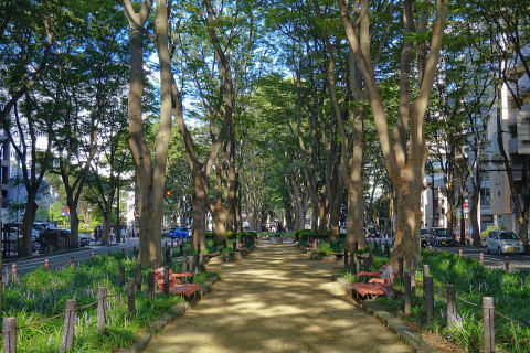 Jozenji-dori Avenue