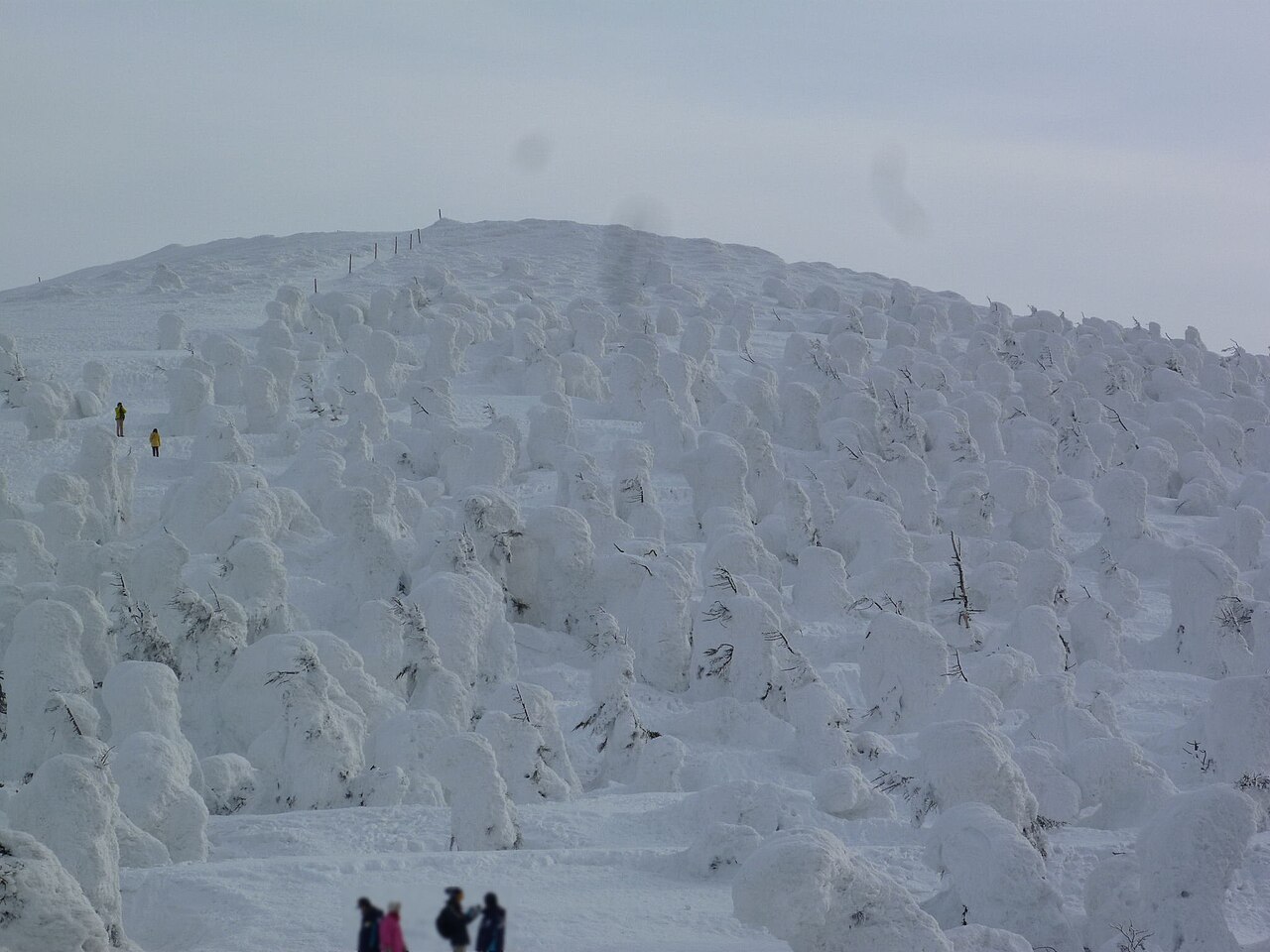 Zao Juhyo (Snow Monsters)