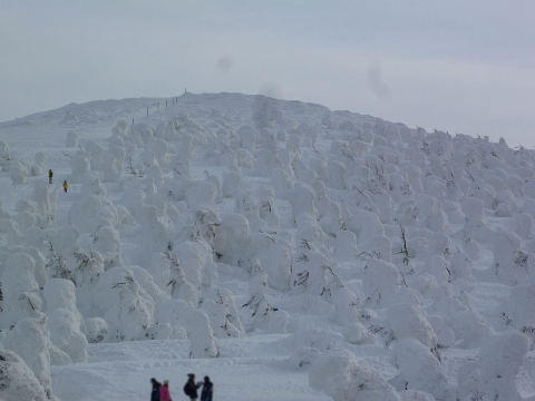 Zao Juhyo (Snow Monsters)