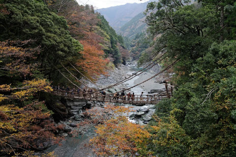 Iya Kazurabashi Vine Bridge