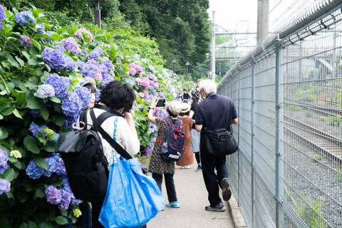 Asukayama Park
