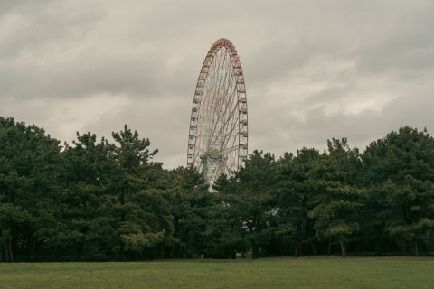 Diamond and Flower Ferris Wheel