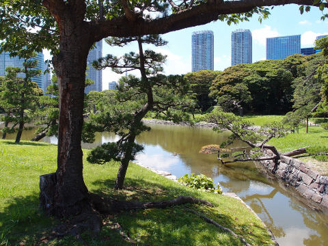 Hama-rikyu Gardens