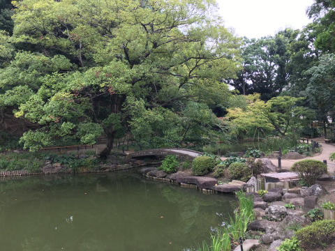Higo Hosokawa Garden