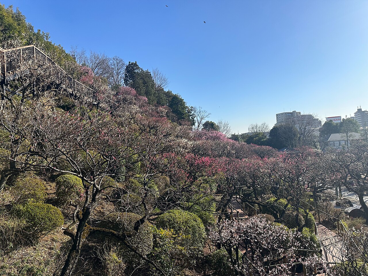 Ikegami Baien (Plum Garden)