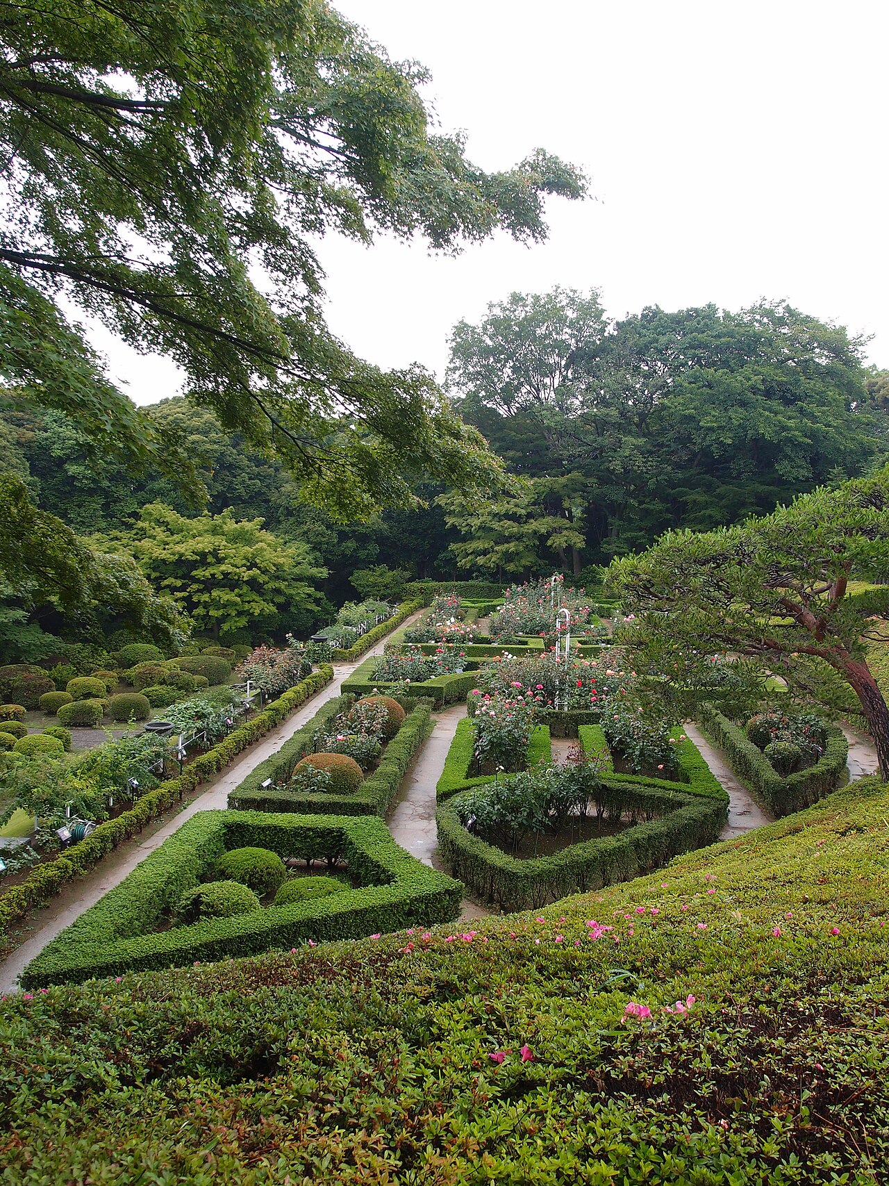 Kyu-Furukawa Gardens