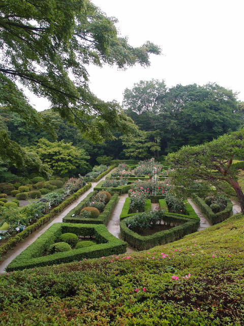 Kyu-Furukawa Gardens