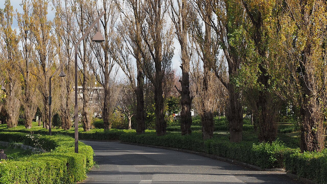 水元公園