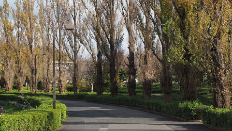 Mizumoto Park