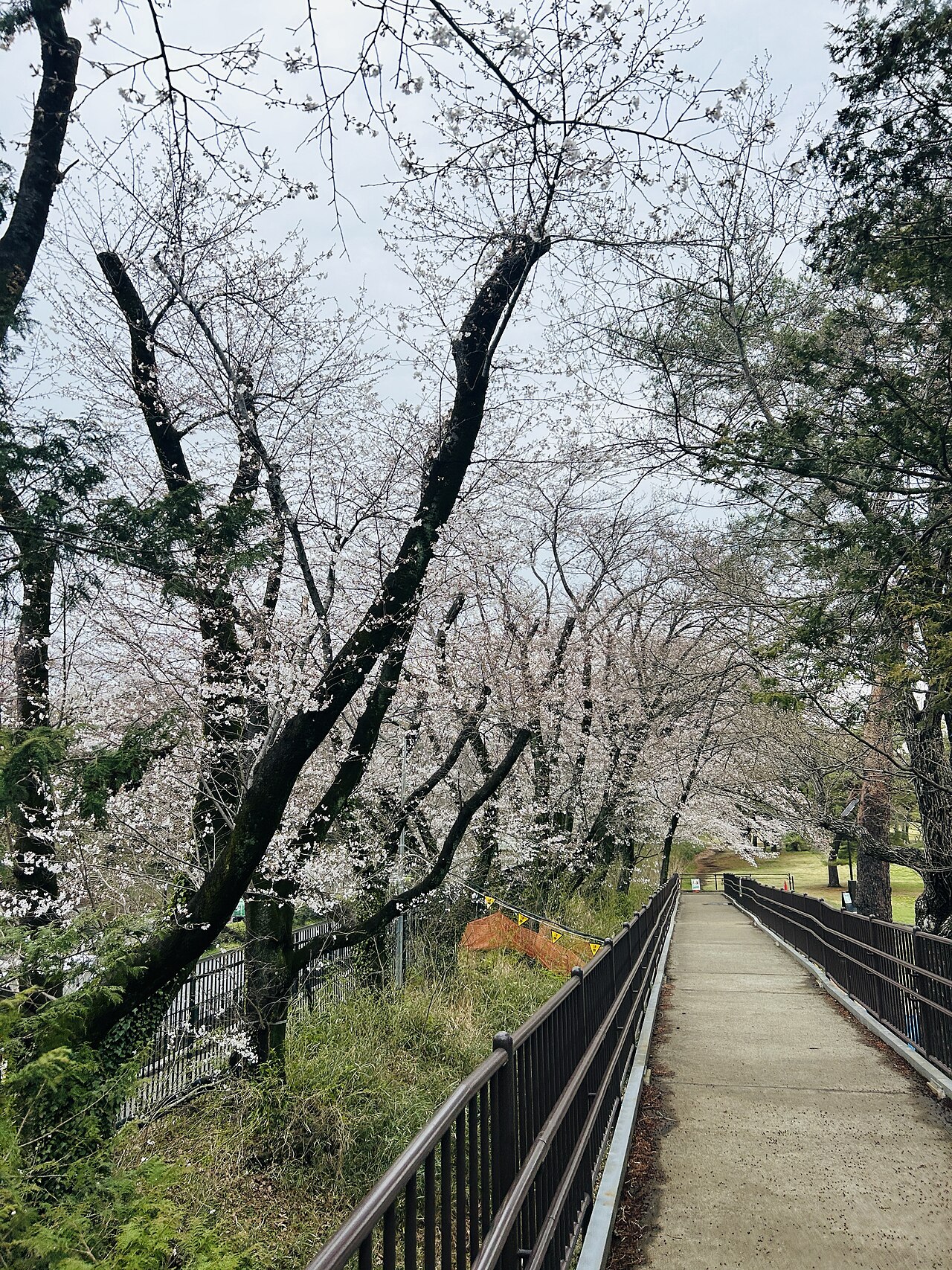 Nogawa Park