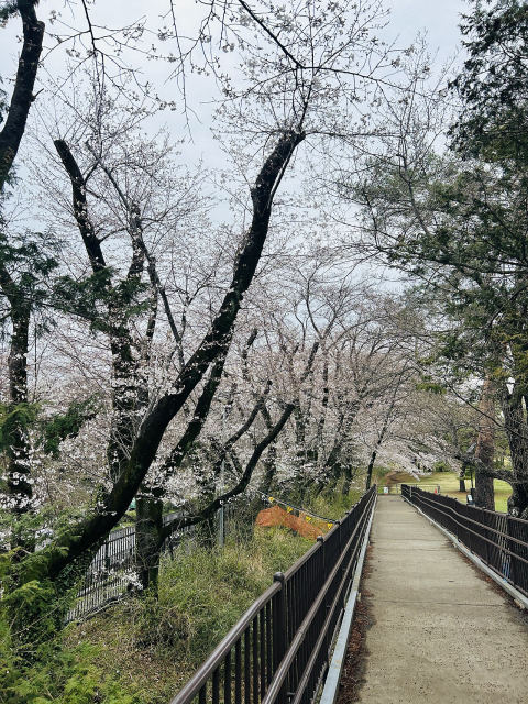 Nogawa Park